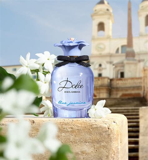 dolce gabbana blue night|dolce and gabanna blue jasmine.